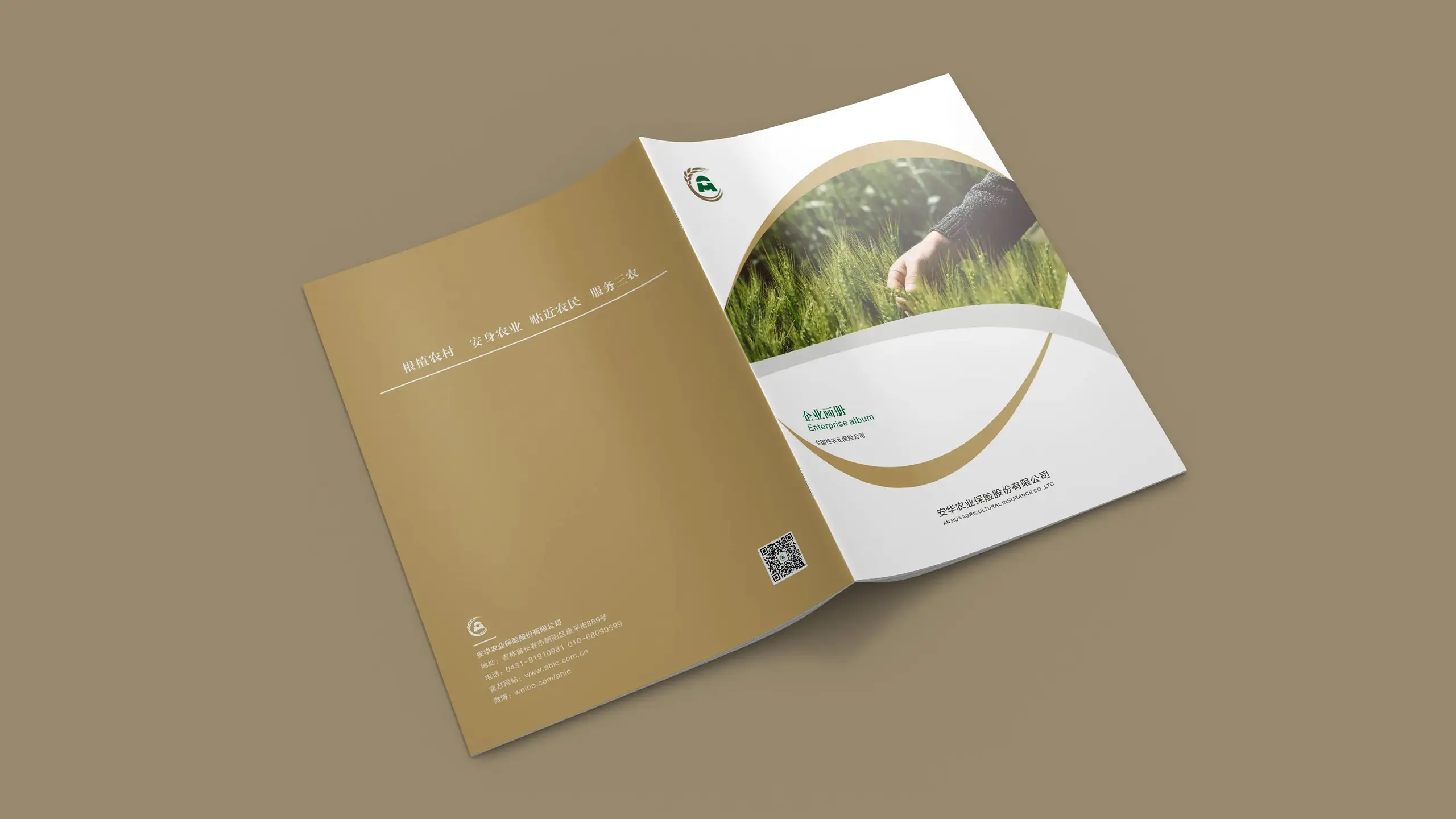 连云港企业画册设计