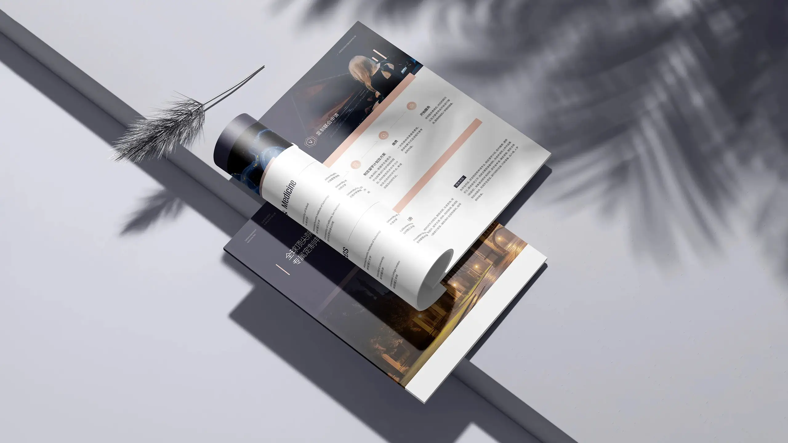 连云港企业画册设计