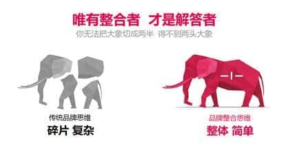 连云港品牌设计 | 群诺品牌咨询与设计